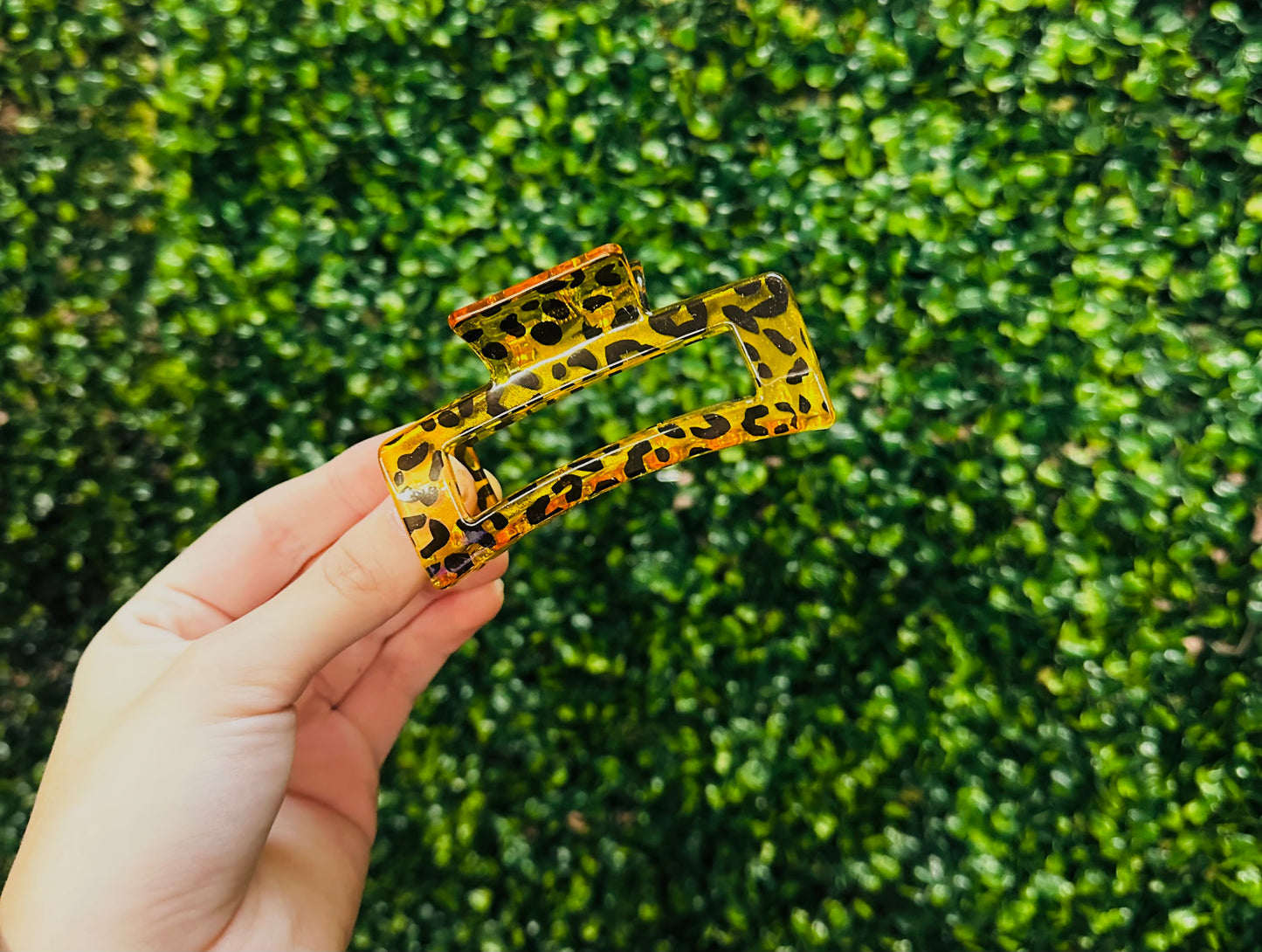 Leopard Claw